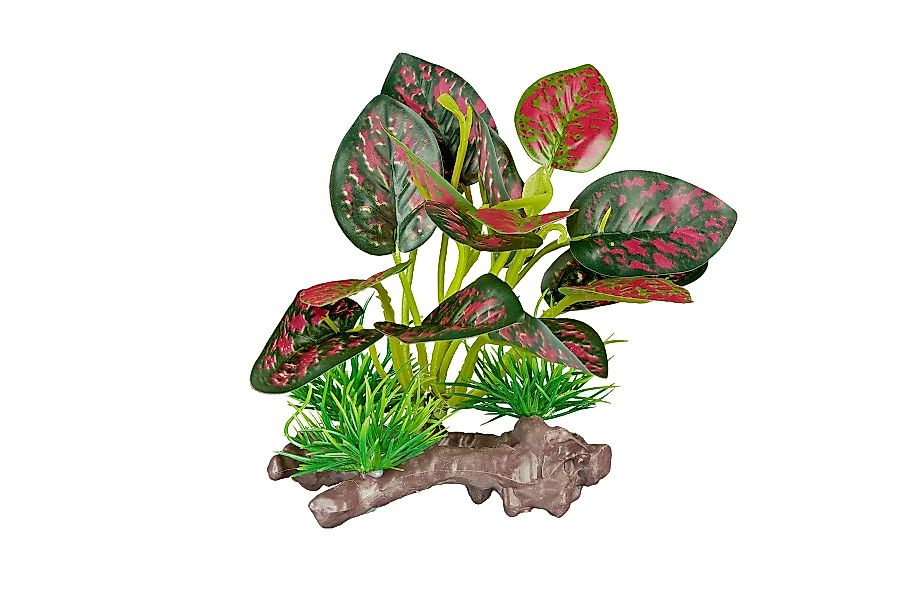 ReptiZoo Terrarium ReptiZoo Kunststoffpflanze "Red scindapsus günstig online kaufen