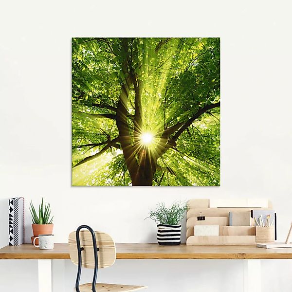 Artland Glasbild "Sonne strahlt explosiv durch den Baum", Bäume, (1 St.) günstig online kaufen