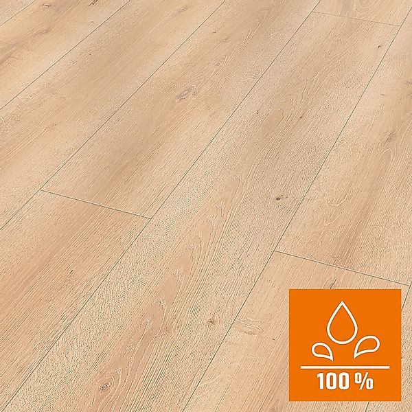 Classen Laminat 8 mm Wasserfest Oak Creme Natural günstig online kaufen