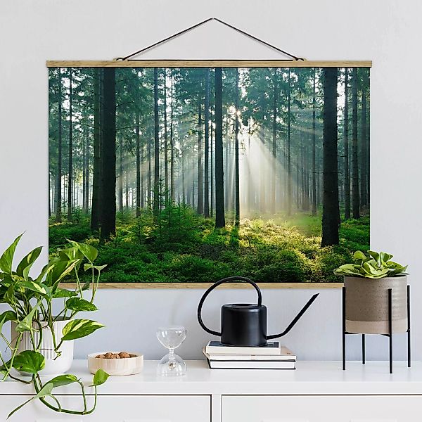 Stoffbild Wald mit Posterleisten - Querformat Enlightened Forest günstig online kaufen
