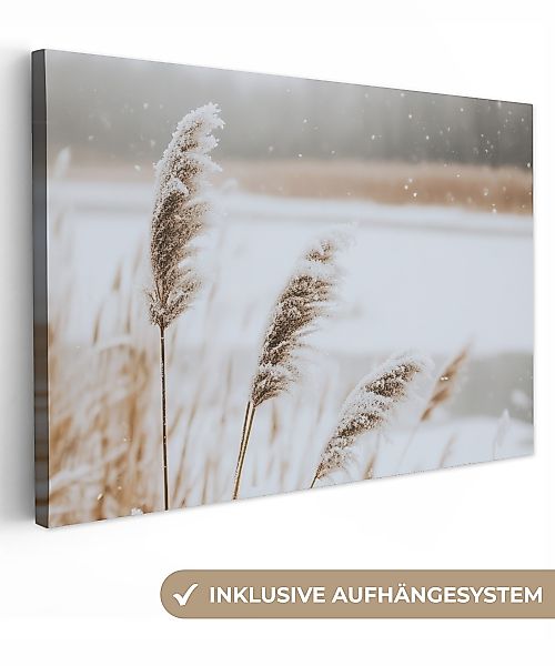 OneMillionCanvasses® Leinwandbild Schilf - See - günstig online kaufen