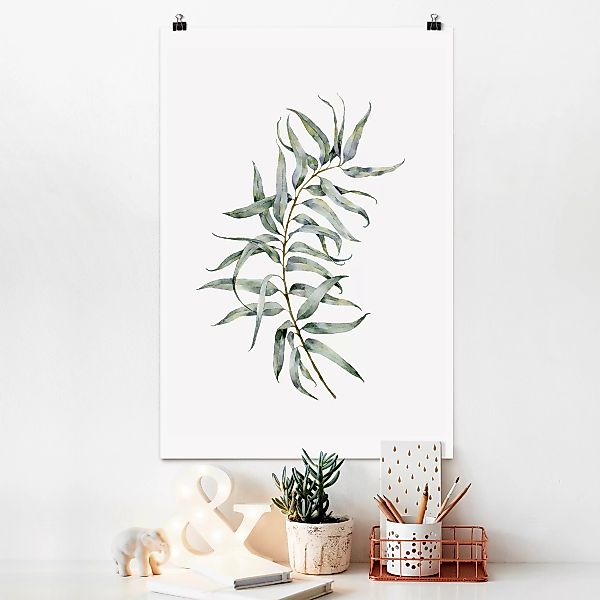 Poster Aquarell Eucalyptus IV günstig online kaufen