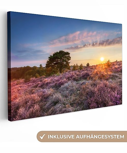 OneMillionCanvasses® Leinwandbild Heide bei Sonnenuntergang, Fotodruck günstig online kaufen
