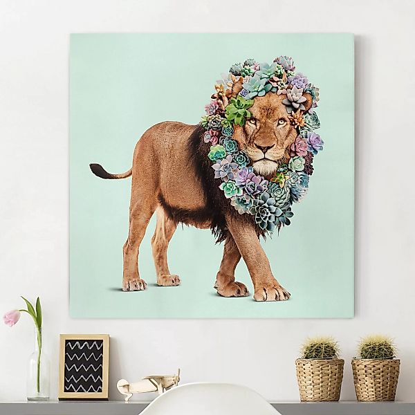 Leinwandbild Blumen - Quadrat Löwe mit Sukkulenten günstig online kaufen
