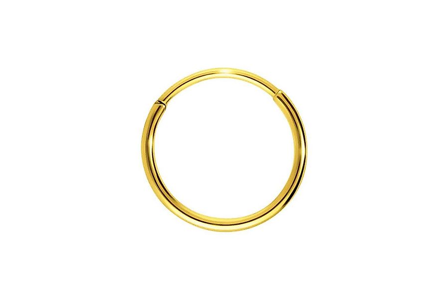 PIERCINGLINE Nasenpiercing Titan Segmentring Clicker Ohrpiercing Septum Nas günstig online kaufen