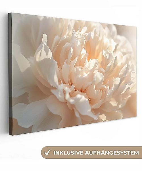 OneMillionCanvasses® Leinwandbild Nahaufnahme - Pfingstrose - Hellrosa, Fot günstig online kaufen