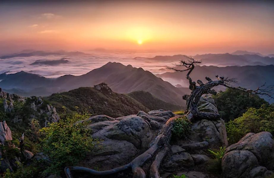 Papermoon Fototapete »Photo-Art TIGER SEO, SONNENAUFGANG AUF DER SPITZE« günstig online kaufen