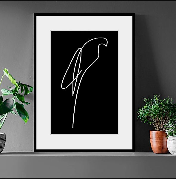 queence Bild "Julian", Schwarz-Weiß-Kunst-Modern-Vögel-Vogelbilder-Papageie günstig online kaufen