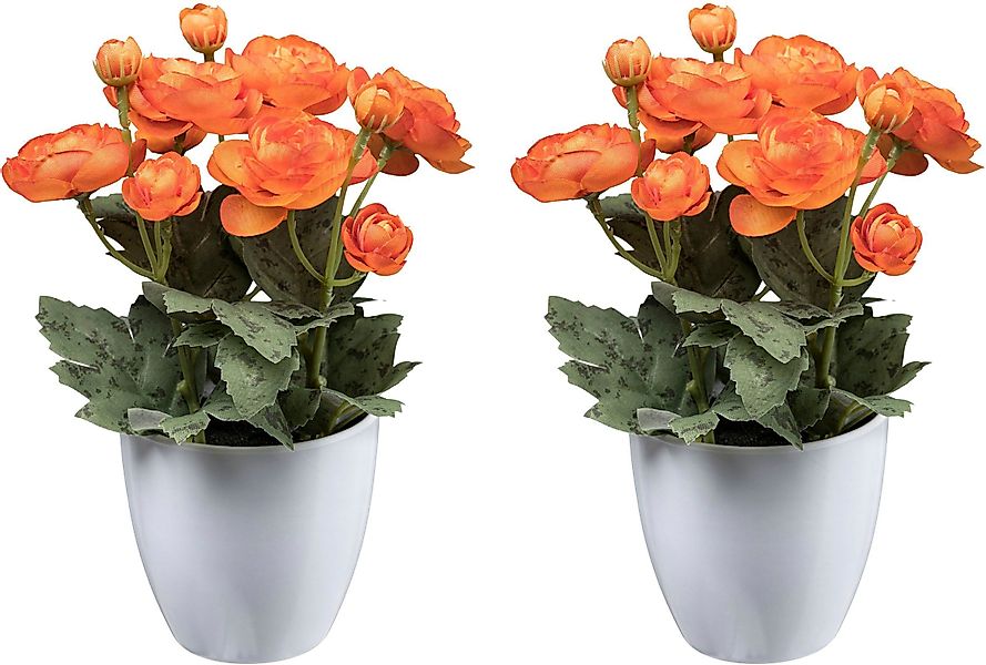 Kunstblume Ranunkel Mohn, Creativ green, Höhe günstig online kaufen