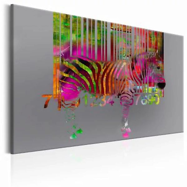 artgeist Wandbild Code of Zebra grau Gr. 60 x 40 günstig online kaufen