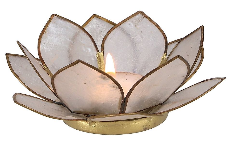 Guru-Shop Windlicht Lotus Teelicht Muschel 11*4 cm - weiß günstig online kaufen