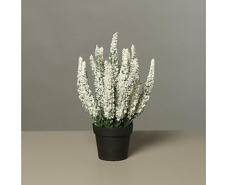 Kunstpflanze Künstliche Erika im Topf 27cm mit 19 Blütenstiele, mucPlants günstig online kaufen