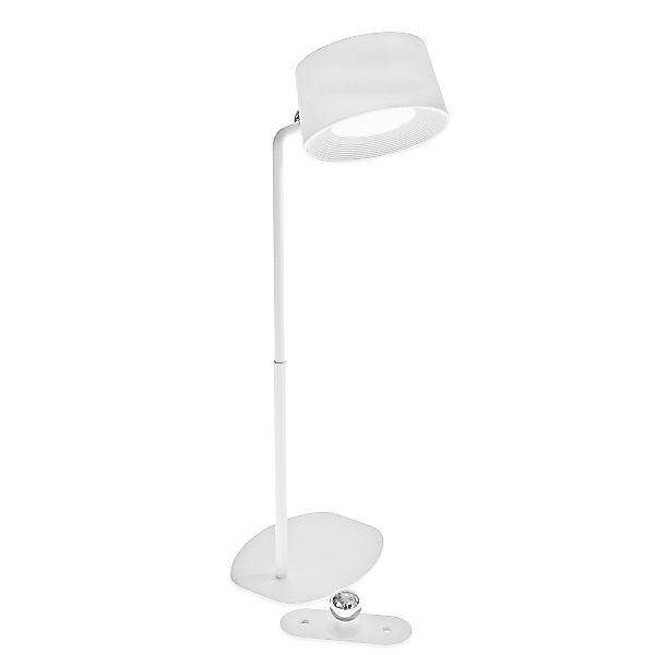 LED kompakte Tischleuchte Focus - mit Wandhalterung und einstellbarer Farbt günstig online kaufen