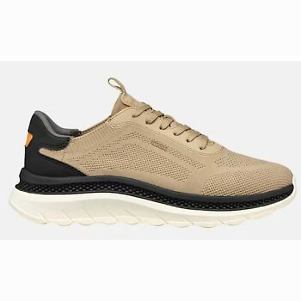 Geox  Sneaker GEUPE25-U55GQA-bei günstig online kaufen