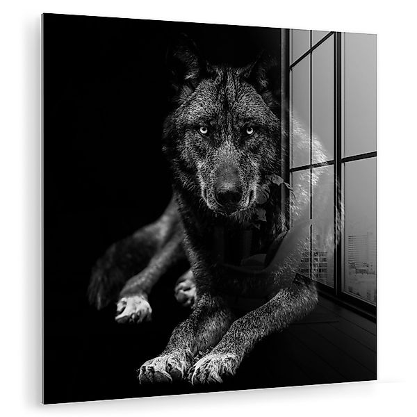 MuchoWow Acrylglasbild Tiere - Wolf - günstig online kaufen