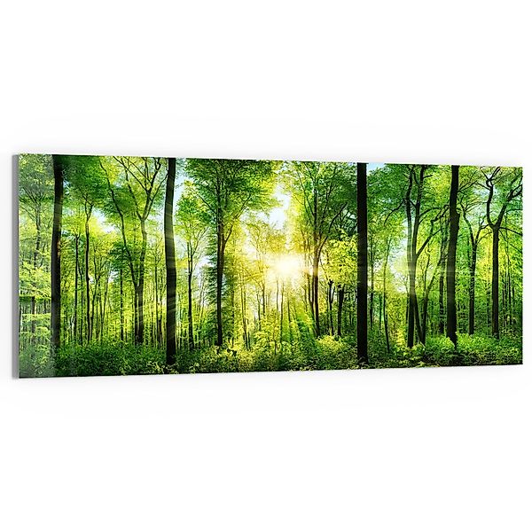 DEQORI Glasbild 'Sonne durchbricht Wald', 'Sonne günstig online kaufen