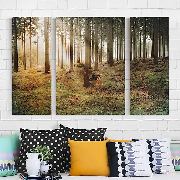 3-teiliges Leinwandbild Wald - Querformat Morning Forest günstig online kaufen