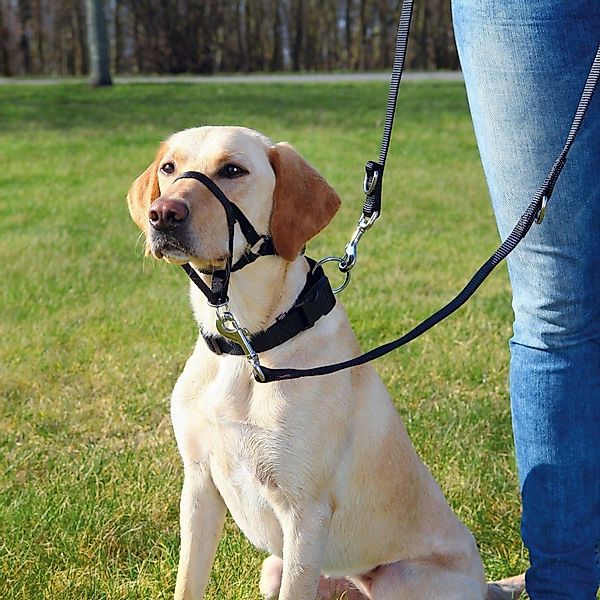 TRIXIE Hunde-Erziehungsgeschirr Top Trainer Ausbildungsgeschirr günstig online kaufen