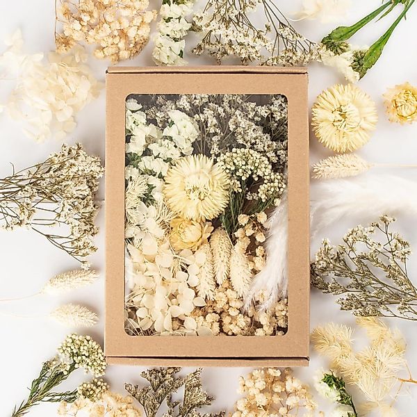 Trockenblume Klein Trockenblumen Deko Trockenblumen mit günstig online kaufen