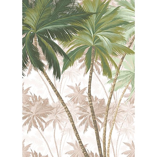 Komar Fototapete Vlies Palmera  200 x 280 cm günstig online kaufen