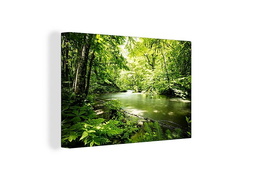 OneMillionCanvasses® Leinwandbild Wald - Baum - Wasser, Fotodruck (1 St), L günstig online kaufen
