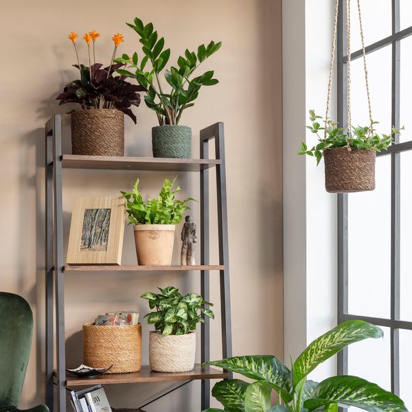 Scheurich Blumentopf nature 19/508 günstig online kaufen