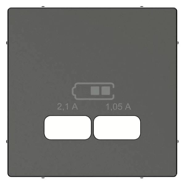 Merten Zentralplatte anth f.USB Ladest.Einsatz MEG4367-0414 günstig online kaufen