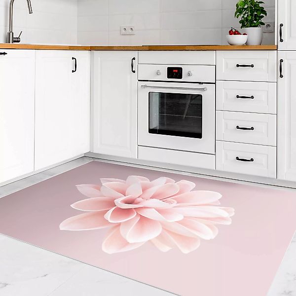 Vinyl-Teppich Dahlie Blume Lavendel Rosa Weiß günstig online kaufen