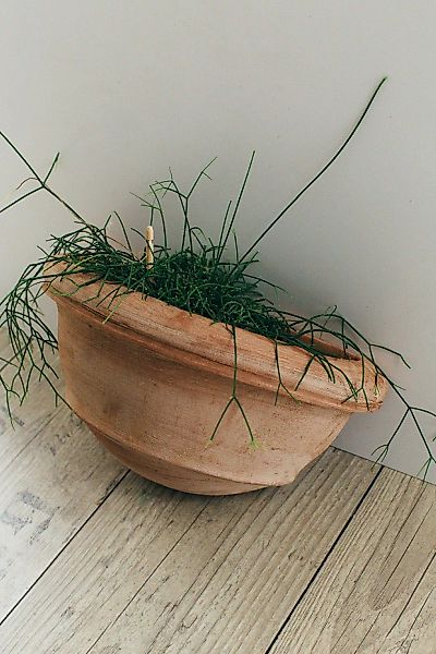 Teramico Pflanzkübel Wandhänger Terrakotta Vaso a günstig online kaufen