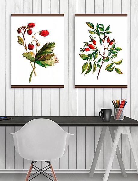 queence Leinwandbild "Erdbeer Pflanze", 50x70 cm günstig online kaufen