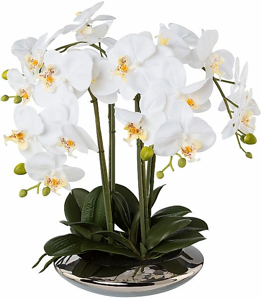 Creativ green Kunstorchidee "Deko-Orchidee Phalaenopsis in Keramikschale" günstig online kaufen