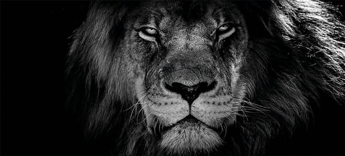 Bönninghoff Leinwandbild "Löwe" 1 Stk. tlg. günstig online kaufen