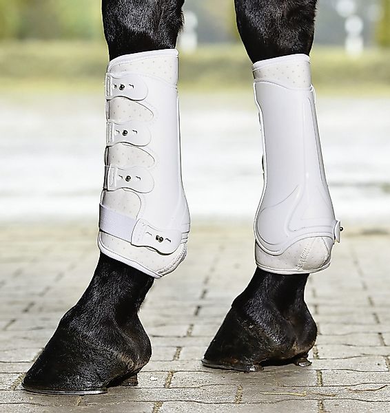 BUSSE Gamaschen Busse Gamaschen DRESSAGE-PRO günstig online kaufen
