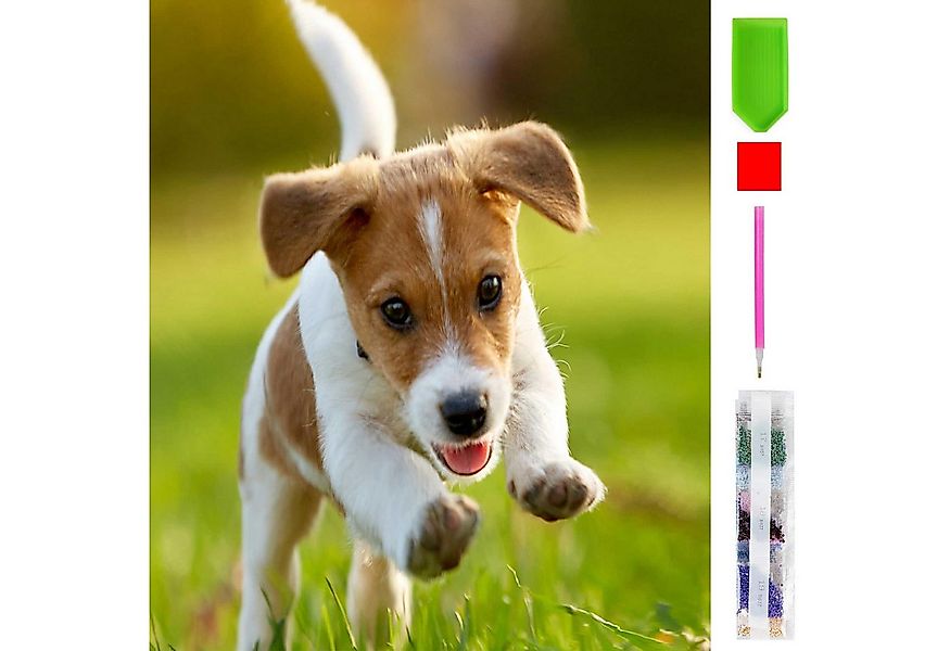 LA CUTE Malen nach Zahlen 5d Diamond Painting Happy Dog Malen nach Zahlen 1 günstig online kaufen