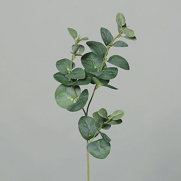 Kunstblume Eukalyptuszweig - ca. 64 cm, günstig online kaufen