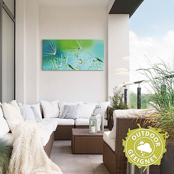 Artland Wandbild "Glitzernde Pustblumen mit Wassertropfen", Blumen, (1 St.) günstig online kaufen
