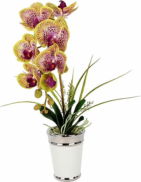 I.GE.A. Kunstblume "Orchidee", im Topf, aus Keramik, Seidenblume Real Touch günstig online kaufen