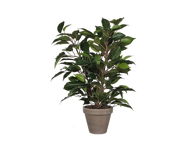 Kunstpflanze Mica Kunstpflanze Ficus Natasja grün im Topf 40 x, Mica Decora günstig online kaufen