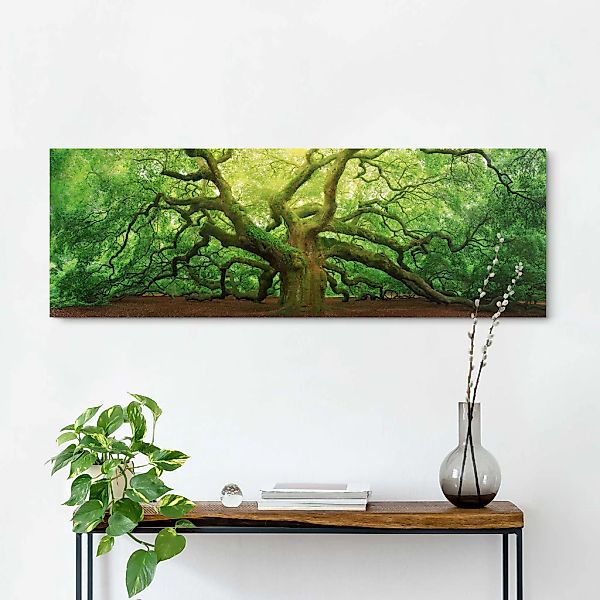 Reinders! Holzbild »Deco Block 40x118 Old Oak« günstig online kaufen