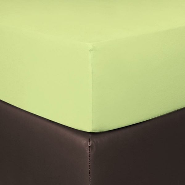 BETTWARENSHOP Spannbettlaken Boxspring, Jersey, Gummizug: Rundumgummi, günstig online kaufen
