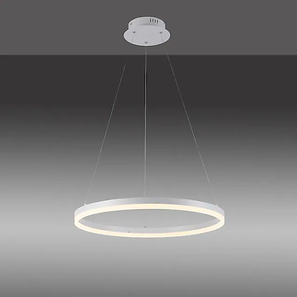 Paul Neuhaus Pendelleuchte »TITUS«, 1 flammig, Leuchtmittel LED-Board   LED günstig online kaufen
