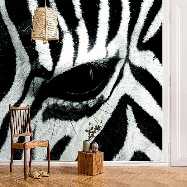 Fototapete Zebra Crossing günstig online kaufen