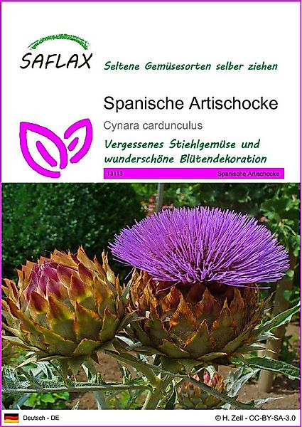 SAFLAX Gemüsesamen SAFLAX - Samen - Spanische Artischocke günstig online kaufen