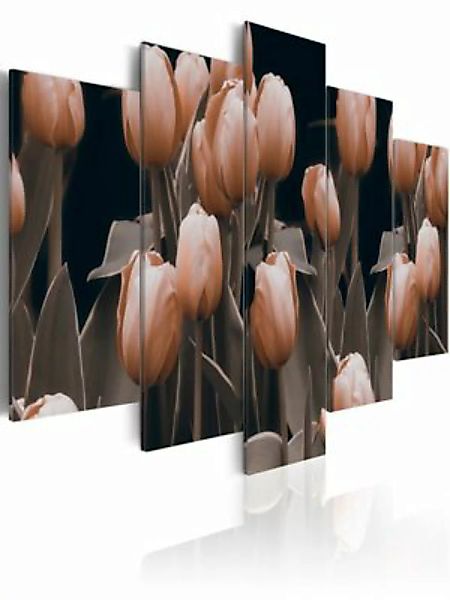 artgeist Wandbild Tulpen in Sepia mehrfarbig Gr. 200 x 100 günstig online kaufen