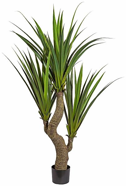 Kunstpflanze Agave, Creativ green, Höhe 160 günstig online kaufen