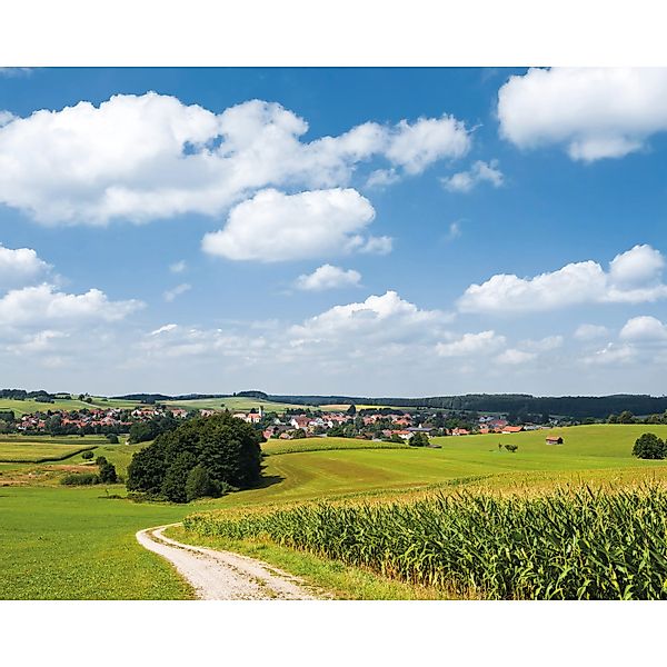 Vlies Fototapete Bayrische Idylle 350x280 cm günstig online kaufen