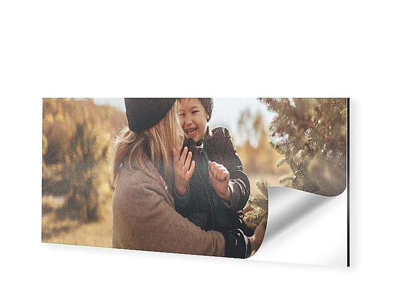 Foto auf Alu Dibond im Format 50 x 25 cm als Panorama im Format 50 x 25 cm günstig online kaufen