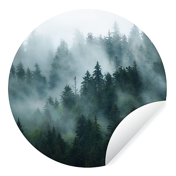 MuchoWow Wandsticker Nebel - Bäume - günstig online kaufen