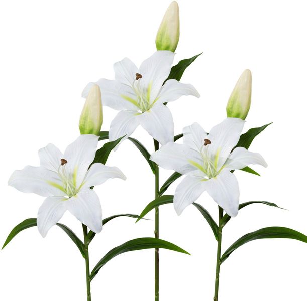 Kunstblume, Creativ green, Höhe 50 cm, günstig online kaufen