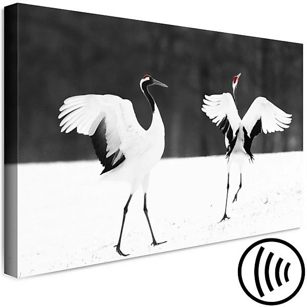 Leinwandbild Dancing Cranes (1 Part) Wide XXL günstig online kaufen